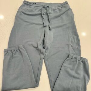 Madewell Light Blue Sweatpants women’s